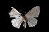  ( - MAL-01794)  @12 [ ] Unspecified (default): All Rights Reserved  Unspecified Unspecified