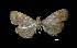  ( - MAL-01796)  @13 [ ] Unspecified (default): All Rights Reserved  Unspecified Unspecified