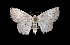  ( - MAL-01804)  @12 [ ] Unspecified (default): All Rights Reserved  Unspecified Unspecified