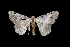  ( - MAL-01806)  @12 [ ] Unspecified (default): All Rights Reserved  Unspecified Unspecified