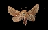  ( - MAL-01815)  @14 [ ] Unspecified (default): All Rights Reserved  Unspecified Unspecified