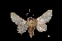  ( - MAL-01815)  @13 [ ] Unspecified (default): All Rights Reserved  Unspecified Unspecified