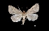  ( - MAL-01824)  @14 [ ] Unspecified (default): All Rights Reserved  Unspecified Unspecified