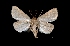 ( - MAL-01824)  @13 [ ] Unspecified (default): All Rights Reserved  Unspecified Unspecified