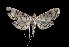  ( - MAL-01835)  @11 [ ] Unspecified (default): All Rights Reserved  Unspecified Unspecified