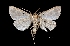  ( - MAL-01839)  @13 [ ] Unspecified (default): All Rights Reserved  Unspecified Unspecified