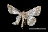  ( - MAL-01855)  @12 [ ] Unspecified (default): All Rights Reserved  Unspecified Unspecified