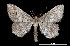  ( - MAL-01892)  @13 [ ] Unspecified (default): All Rights Reserved  Unspecified Unspecified