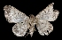  ( - MAL-01962)  @13 [ ] Unspecified (default): All Rights Reserved  Unspecified Unspecified