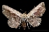  ( - MAL-01981)  @13 [ ] Unspecified (default): All Rights Reserved  Unspecified Unspecified