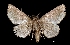  ( - MAL-01981)  @13 [ ] Unspecified (default): All Rights Reserved  Unspecified Unspecified