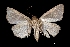  ( - MAL-01992)  @13 [ ] Unspecified (default): All Rights Reserved  Unspecified Unspecified