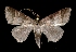  ( - MAL-01993)  @13 [ ] Unspecified (default): All Rights Reserved  Unspecified Unspecified