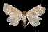  ( - MAL-01996)  @13 [ ] Unspecified (default): All Rights Reserved  Unspecified Unspecified