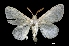  ( - MAL-01998)  @13 [ ] Unspecified (default): All Rights Reserved  Unspecified Unspecified