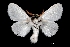  ( - MAL-01999)  @13 [ ] Unspecified (default): All Rights Reserved  Unspecified Unspecified