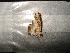  ( - MAL-02495)  @12 [ ] Unspecified (default): All Rights Reserved  Unspecified Unspecified