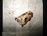  ( - MAL-02496)  @12 [ ] Unspecified (default): All Rights Reserved  Unspecified Unspecified