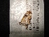  ( - MAL-02498)  @12 [ ] Unspecified (default): All Rights Reserved  Unspecified Unspecified