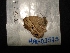  ( - MAL-02575)  @12 [ ] Unspecified (default): All Rights Reserved  Unspecified Unspecified