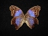  ( - MAL-02692)  @13 [ ] Unspecified (default): All Rights Reserved  Unspecified Unspecified