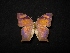 ( - MAL-02761)  @11 [ ] Unspecified (default): All Rights Reserved  Unspecified Unspecified