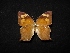  ( - MAL-02762)  @11 [ ] Unspecified (default): All Rights Reserved  Unspecified Unspecified