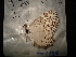  ( - MAL-02810)  @12 [ ] Unspecified (default): All Rights Reserved  Unspecified Unspecified