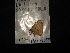  ( - MAL-02839)  @12 [ ] Unspecified (default): All Rights Reserved  Unspecified Unspecified
