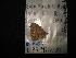 ( - MAL-02841)  @12 [ ] Unspecified (default): All Rights Reserved  Unspecified Unspecified