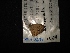  ( - MAL-02847)  @12 [ ] Unspecified (default): All Rights Reserved  Unspecified Unspecified