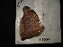  ( - MAL-02861)  @12 [ ] Unspecified (default): All Rights Reserved  Unspecified Unspecified