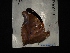  ( - MAL-02862)  @12 [ ] Unspecified (default): All Rights Reserved  Unspecified Unspecified