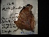  ( - MAL-02863)  @12 [ ] Unspecified (default): All Rights Reserved  Unspecified Unspecified