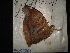  ( - MAL-02864)  @12 [ ] Unspecified (default): All Rights Reserved  Unspecified Unspecified