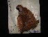  ( - MAL-02865)  @12 [ ] Unspecified (default): All Rights Reserved  Unspecified Unspecified