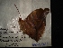  ( - MAL-02866)  @12 [ ] Unspecified (default): All Rights Reserved  Unspecified Unspecified