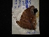  ( - MAL-02867)  @12 [ ] Unspecified (default): All Rights Reserved  Unspecified Unspecified