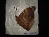  ( - MAL-02869)  @12 [ ] Unspecified (default): All Rights Reserved  Unspecified Unspecified