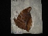  ( - MAL-02870)  @12 [ ] Unspecified (default): All Rights Reserved  Unspecified Unspecified