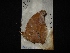  ( - MAL-02871)  @12 [ ] Unspecified (default): All Rights Reserved  Unspecified Unspecified