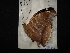  ( - MAL-02872)  @12 [ ] Unspecified (default): All Rights Reserved  Unspecified Unspecified
