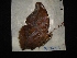  ( - MAL-02873)  @12 [ ] Unspecified (default): All Rights Reserved  Unspecified Unspecified