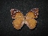  ( - MAL-02909)  @14 [ ] Unspecified (default): All Rights Reserved  Unspecified Unspecified