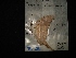  ( - MAL-02911)  @12 [ ] Unspecified (default): All Rights Reserved  Unspecified Unspecified