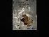  ( - MAL-02912)  @12 [ ] Unspecified (default): All Rights Reserved  Unspecified Unspecified