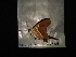  ( - MAL-02913)  @12 [ ] Unspecified (default): All Rights Reserved  Unspecified Unspecified