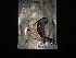  ( - MAL-02914)  @12 [ ] Unspecified (default): All Rights Reserved  Unspecified Unspecified