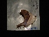  ( - MAL-02915)  @12 [ ] Unspecified (default): All Rights Reserved  Unspecified Unspecified