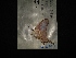  ( - MAL-02916)  @12 [ ] Unspecified (default): All Rights Reserved  Unspecified Unspecified